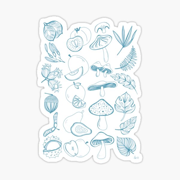Seeds, fruits, mushrooms and leaves. Sticker