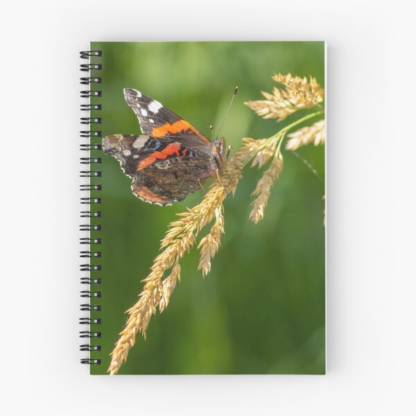 Item preview, Atalanta butterfly resting on reed grass designed and sold by LifesTooBig.