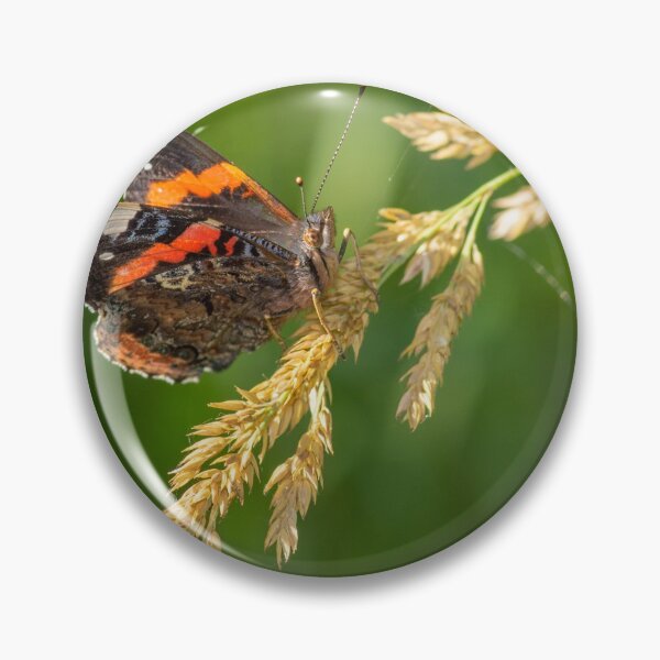 Item preview, Atalanta butterfly resting on reed grass designed and sold by LifesTooBig.