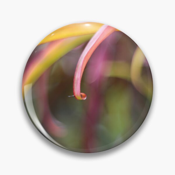 Item preview, The curl designed and sold by Mel Brackstone.