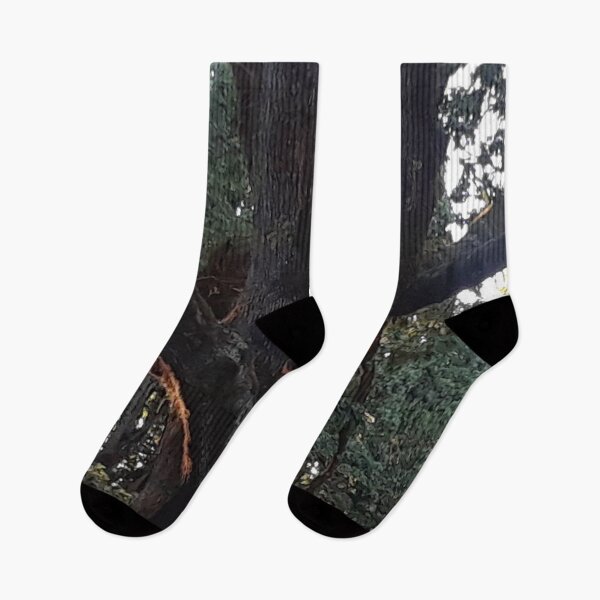 Item preview, Sunset Reflection on the Trees - Left designed and sold by MulesParty.