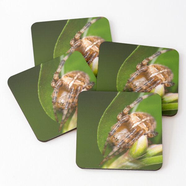 Item preview, Cross orbweaver spider chilling on a leaf designed and sold by LifesTooBig.