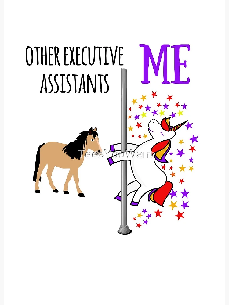 Unicorn Animal Trainer Other Me Funny Gift for Coworker Women Her