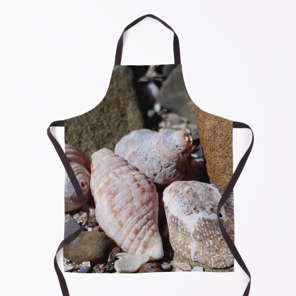 Item preview, Seashells at the Beach designed and sold by Beachy.