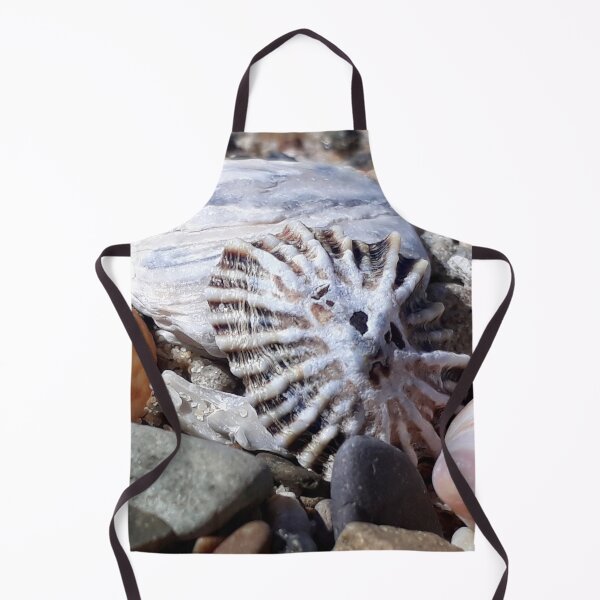 Item preview, Sea Shell Sun Face designed and sold by Beachy.