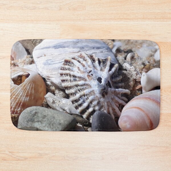 Item preview, Sea Shell Sun Face designed and sold by Beachy.