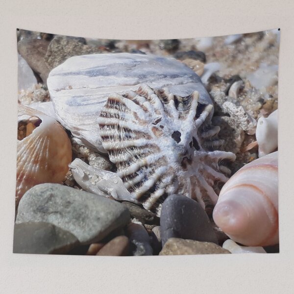 Item preview, Sea Shell Sun Face designed and sold by Beachy.