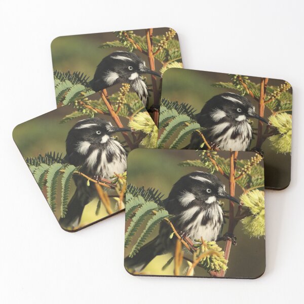 Item preview, New Holland Honeyeater designed and sold by Simon  King.