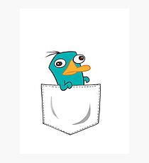 Perry the Platypus Pocket Photographic Print