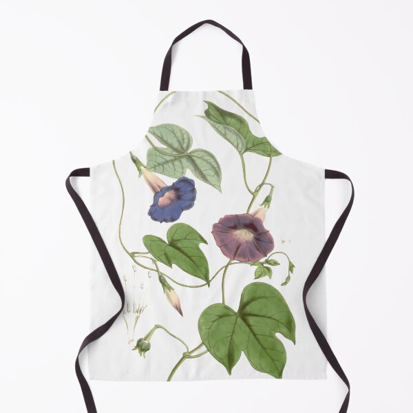 Item preview, Pharbitis from Curtis's botanical magazine 1847 designed and sold by AuraSisters.
