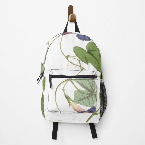 Item preview, Pharbitis from Curtis's botanical magazine 1847 designed and sold by AuraSisters.