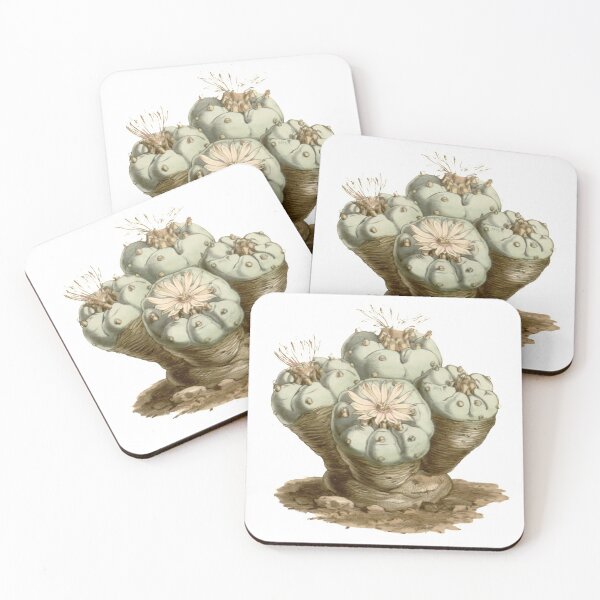 Item preview, ECHINOCACTUS from Curtis's botanical magazine 1847 designed and sold by AuraSisters.
