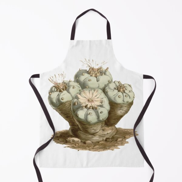 Item preview, ECHINOCACTUS from Curtis's botanical magazine 1847 designed and sold by AuraSisters.
