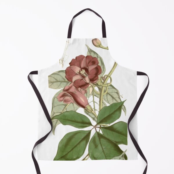 Item preview, IPOMIA PULCHELLA from Curtis's botanical magazine 1847 designed and sold by AuraSisters.