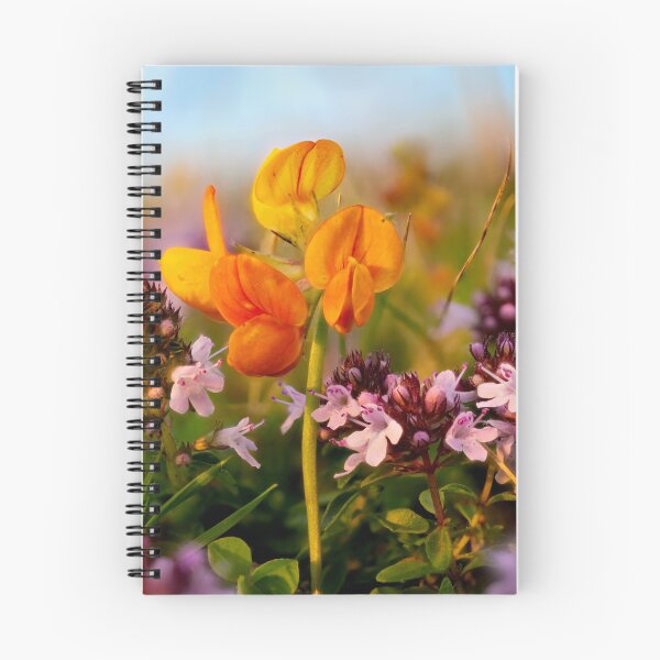 Item preview, Bird's-foot Trefoil and Thyme designed and sold by Weston  Westmoreland.