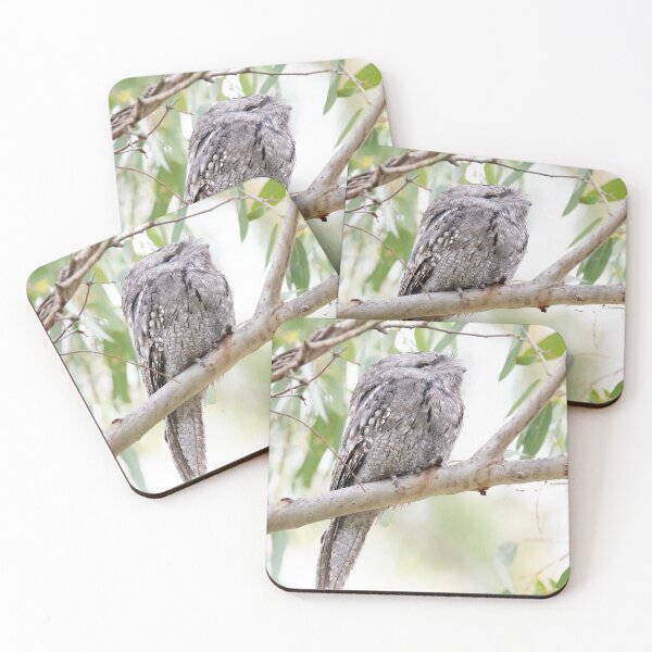 Item preview, So Pretty - Tawny Frogmouth designed and sold by imaginethis.