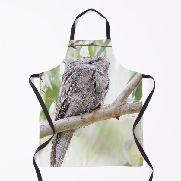Item preview, So Pretty - Tawny Frogmouth designed and sold by imaginethis.