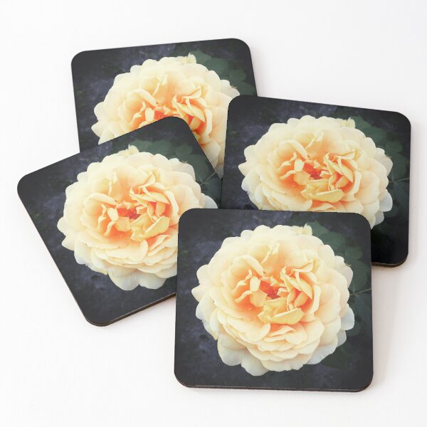 Item preview, Cute Orange Crema Rose designed and sold by fowons.