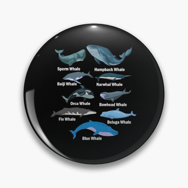 Item preview, 9 Types of Whales Whale Breeds Species designed and sold by FucaGirl.