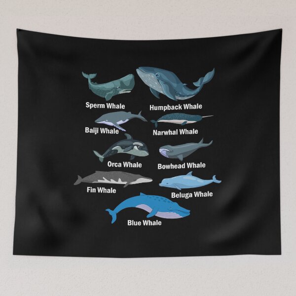Item preview, 9 Types of Whales Whale Breeds Species designed and sold by FucaGirl.