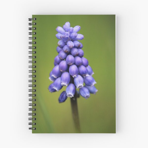 Item preview, Blauwe Druifjes designed and sold by Marije Kouyzer.