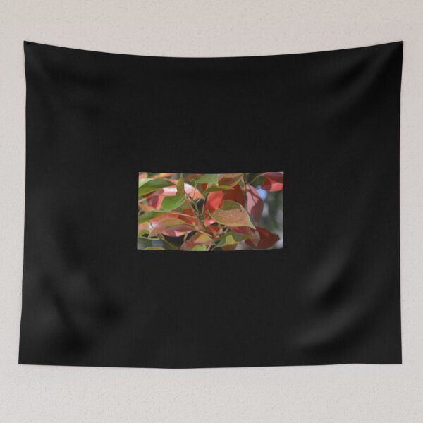 Item preview, RED AND GREEN designed and sold by kazaroodie.