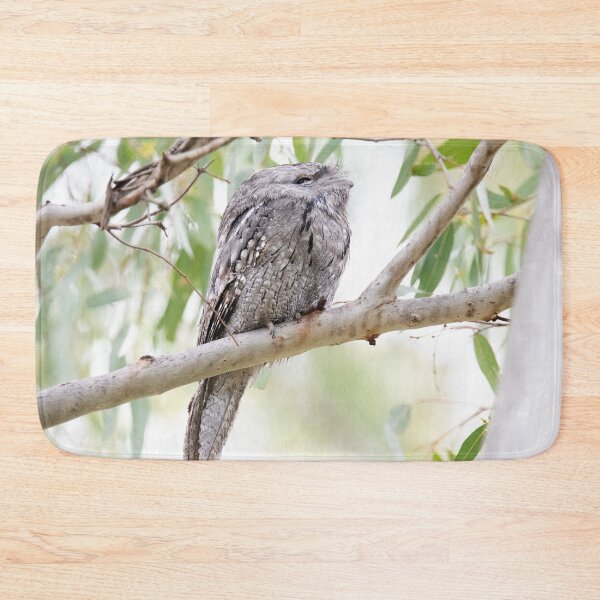 Item preview, So Pretty - Tawny Frogmouth designed and sold by imaginethis.