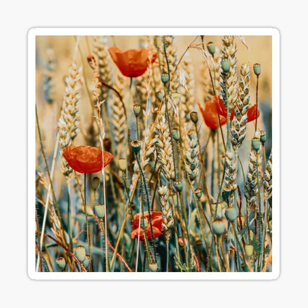 Item preview, Grassy Fields - Nature Gifts designed and sold by FreedomUniverse.