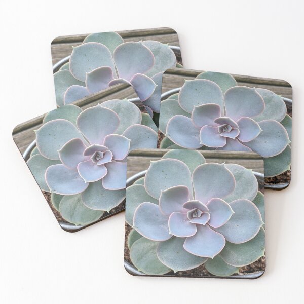 Item preview, Succulent beauty designed and sold by memorguson.