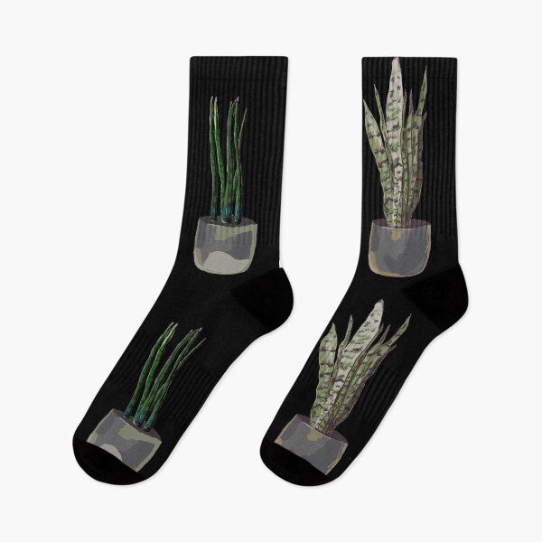 Item preview, The snake plant family designed and sold by priyaArts.