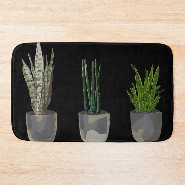 Item preview, The snake plant family designed and sold by priyaArts.