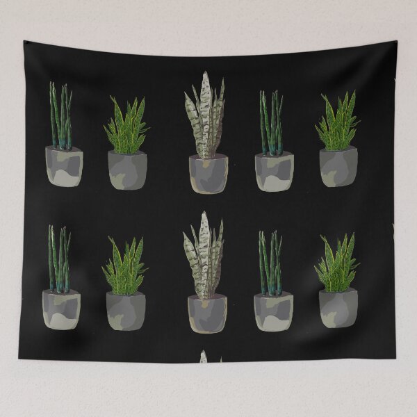 Item preview, The snake plant family designed and sold by priyaArts.