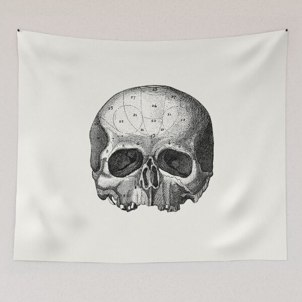 Item preview, Skull diagram (white) designed and sold by Robert Ropars.