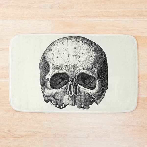 Item preview, Skull diagram (white) designed and sold by Robert Ropars.