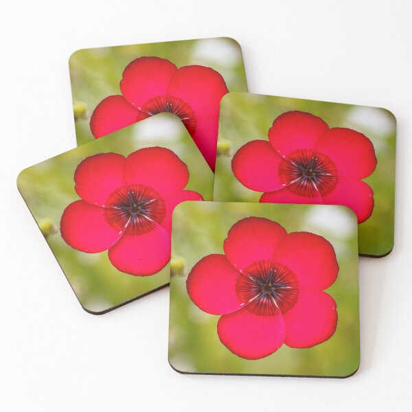 Item preview, Scarlet Flax Flower designed and sold by jillianbutolphphoto.