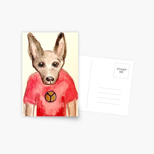 Ziggy the Dog Postcard