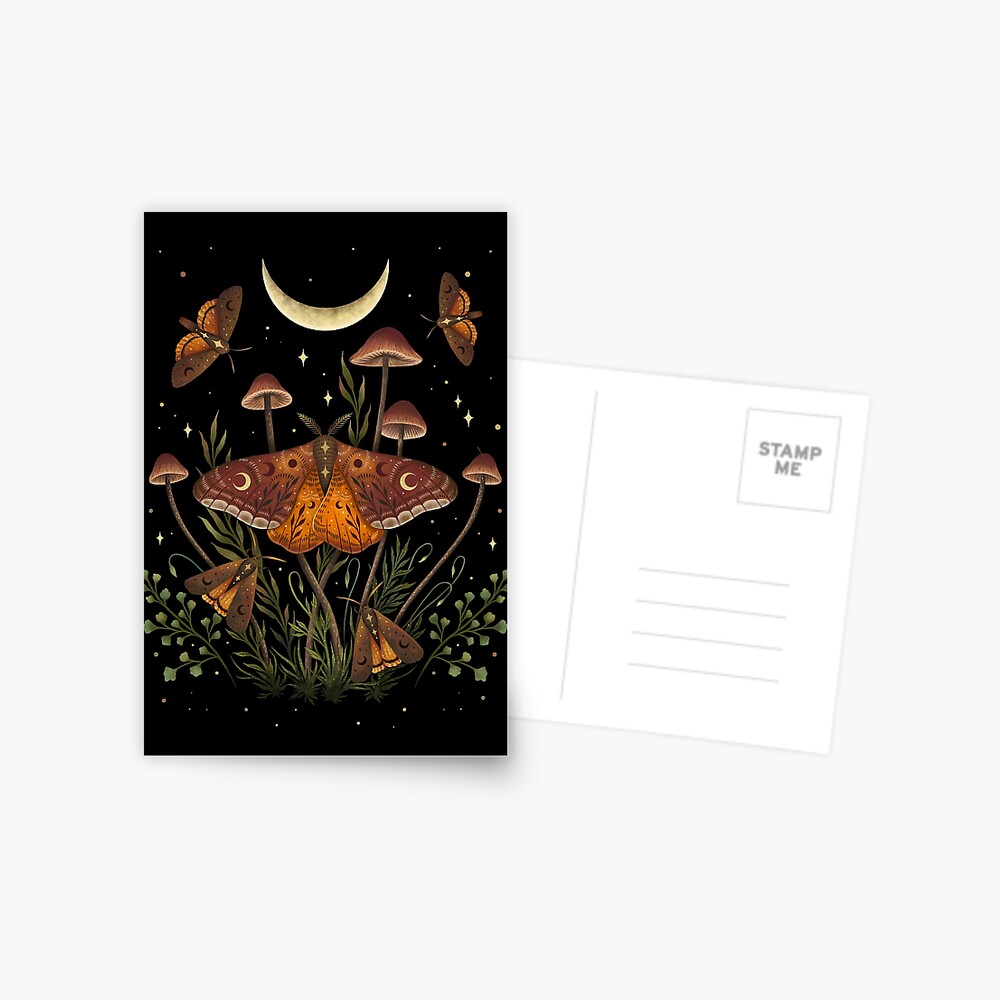 Autumn Light Underwing Postcard