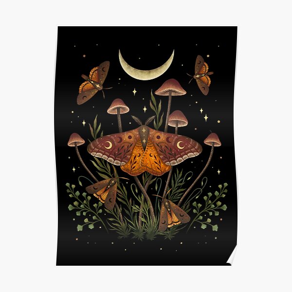Autumn Light Underwing Poster