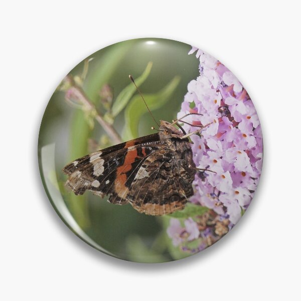 Artikelvorschau,  r1157/ Finition 2021  " Papillon en plein repas ! "  2018 (c)(7) Olavia-Olao Okaio Créations entworfen und verkauft von o.okaïo.