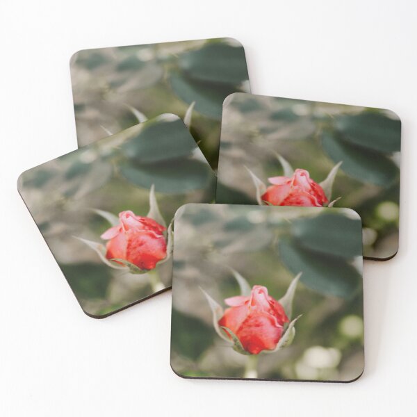 Item preview, Rose Bud designed and sold by hbletteringco.