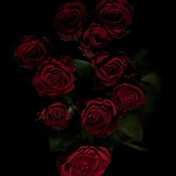 Artwork thumbnail, Aesthetic Roses Phone Case. by red8u
