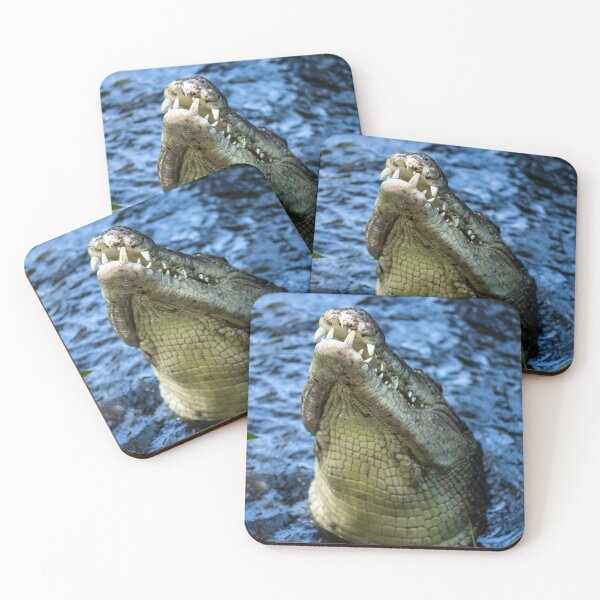 Item preview, Crocodile Teeth Water designed and sold by mwagie.