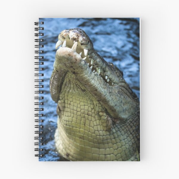 Item preview, Crocodile Teeth Water designed and sold by mwagie.