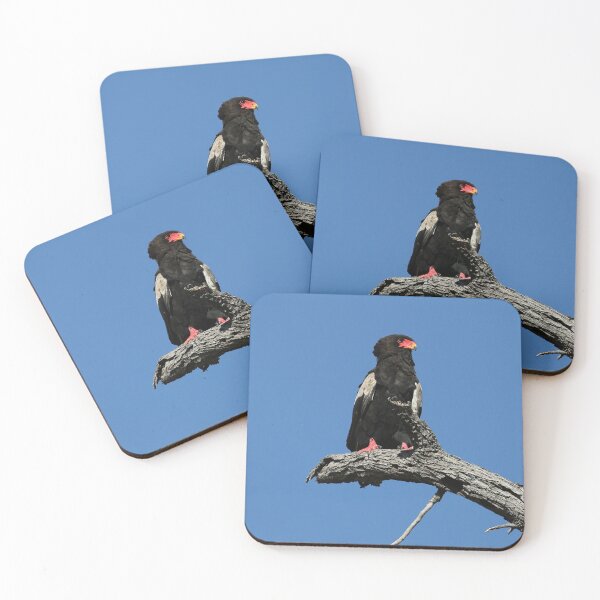 Item preview, Bateleur Eagle from Botswana designed and sold by John Brice.