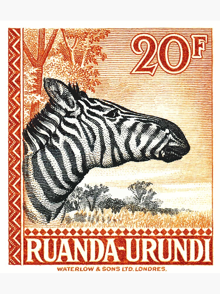 1942 Ruanda Urundi Zebra Postage Stamp | Magnet