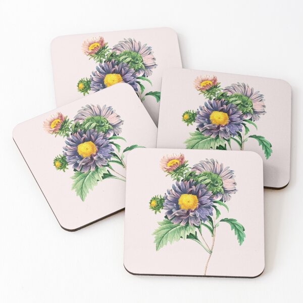 Item preview, China Aster Flower designed and sold by DaphneKstudio .