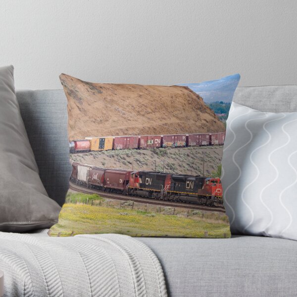 Rounding the Bend Throw Pillow