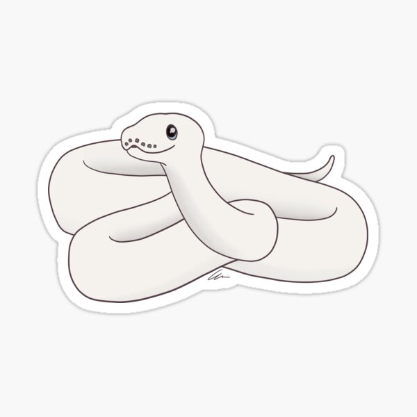 Blue-Eyed Leucistic Ball Python Illustration