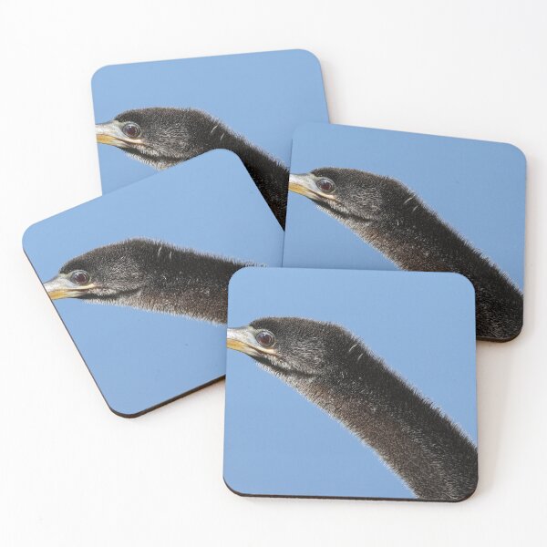 Item preview, Anhinga designed and sold by John Brice.