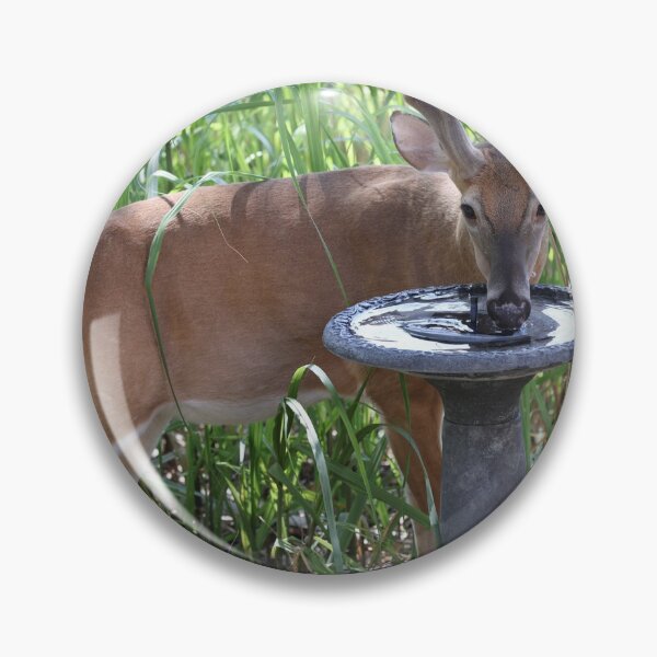 Item preview, Thirsty White Tailed Deer designed and sold by John Brice.